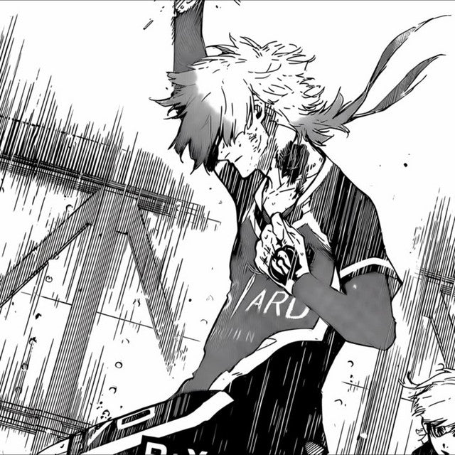 FLOW KAISER